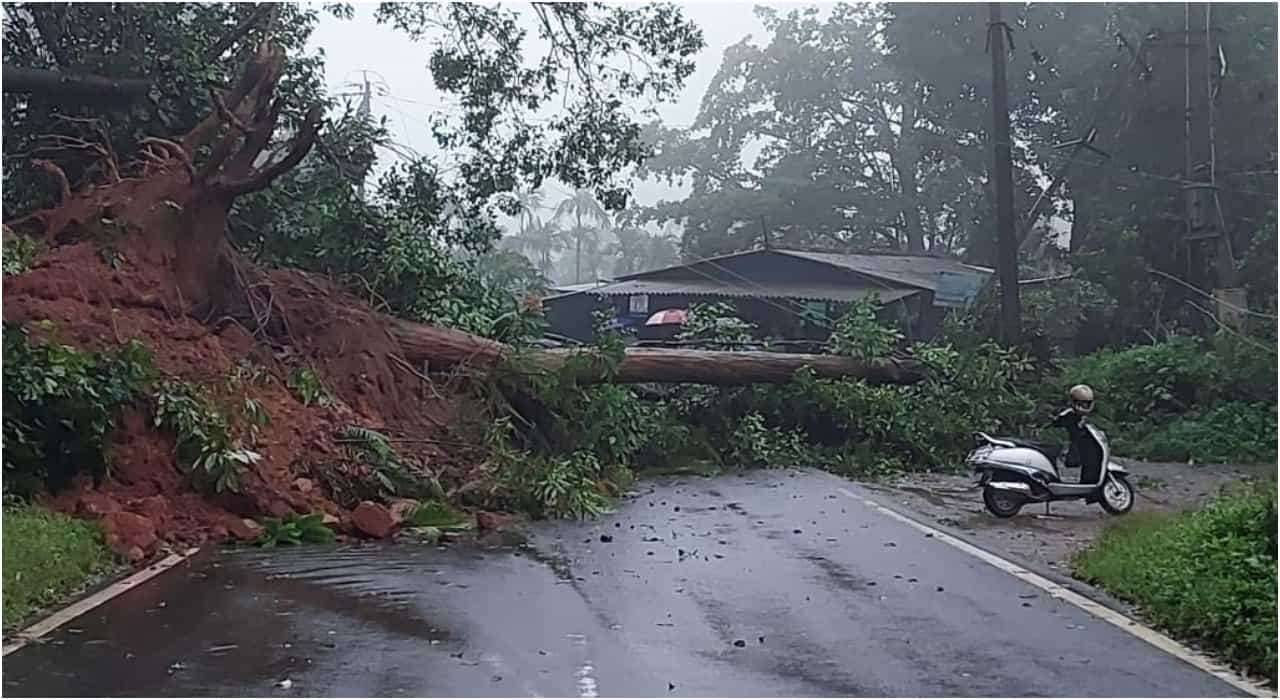 Kodagu Rains: ಹೆದ್ದಾರಿ ಮೇಲೆ ಕುಸಿದು ಬಿದ್ದ ಗುಡ್ಡ, ಬೃಹತ್ ಮರ; ಮಡಿಕೇರಿ ಮಂಗಳೂರು ಮಾರ್ಗದಲ್ಲಿ ವಾಹನ ಸಂಚಾರ ಸ್ಥಗಿತ Kodagu Rains: ಹೆದ್ದಾರಿ ಮೇಲೆ ಕುಸಿದು ಬಿದ್ದ ಗುಡ್ಡ, ಬೃಹತ್ ಮರ; ಮಡಿಕೇರಿ ಮಂಗಳೂರು ಮಾರ್ಗದಲ್ಲಿ ವಾಹನ ಸಂಚಾರ ಸ್ಥಗಿತ