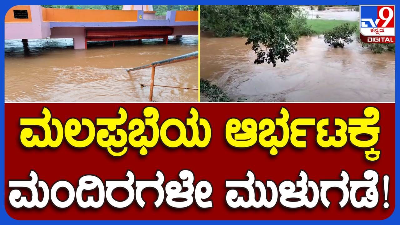 Belagavi: ಮಲಪ್ರಭಾ ನದಿ ಉಕ್ಕಿ ಹರಿಯುತ್ತಿರುವುದು ನಿಜವಾದರೂ ವಿಳಂಬಿತ ಮಾನ್ಸೂನ್​ನಿಂದ ಆತಂಕದಲ್ಲಿ ಬೆಳಗಾವಿಯ ಅನ್ನದಾತ!