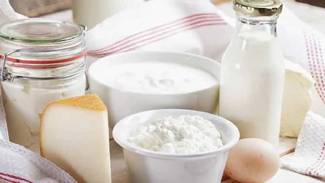 Milk Vs Curd: ಹಾಲು ಅಥವಾ ಮೊಸರು; ಆರೋಗ್ಯಕ್ಕೆ ಯಾವುದು ಉತ್ತಮ?