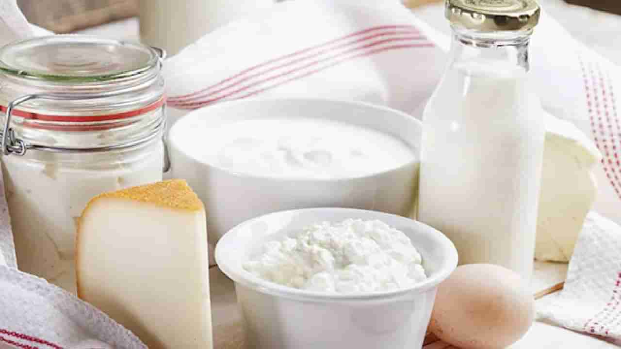 Milk Vs Curd: ಹಾಲು ಅಥವಾ ಮೊಸರು; ಆರೋಗ್ಯಕ್ಕೆ ಯಾವುದು ಉತ್ತಮ?