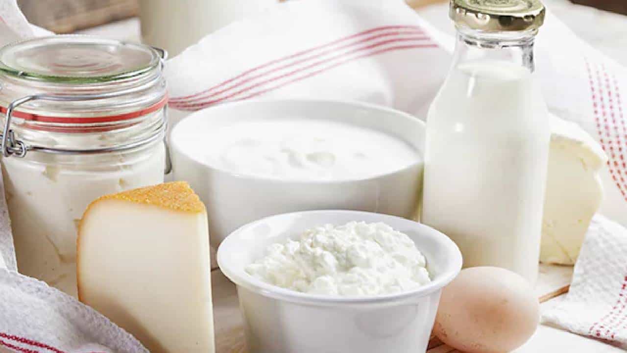 Milk Vs Curd: ಹಾಲು ಅಥವಾ ಮೊಸರು; ಆರೋಗ್ಯಕ್ಕೆ ಯಾವುದು ಉತ್ತಮ? Milk Vs Curd: ಹಾಲು ಅಥವಾ ಮೊಸರು; ಆರೋಗ್ಯಕ್ಕೆ ಯಾವುದು ಉತ್ತಮ?