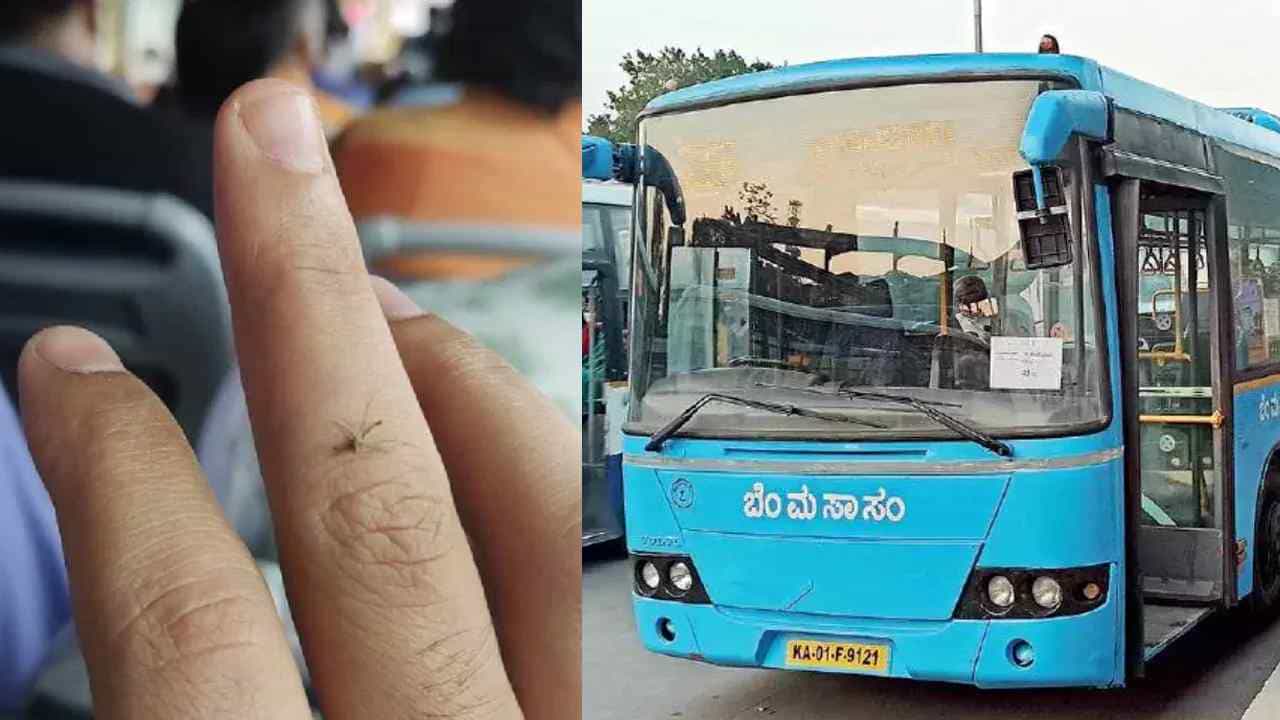 BMTC ವೋಲ್ವೋ ಬಸ್ಗಳಲ್ಲಿ ಸೊಳ್ಳೆ ಕಾಟ, ವಾಹನವನ್ನು ಪರಿಶೀಲನೆಗೆ ಸೂಚನೆ BMTC ವೋಲ್ವೋ ಬಸ್ಗಳಲ್ಲಿ ಸೊಳ್ಳೆ ಕಾಟ, ವಾಹನವನ್ನು ಪರಿಶೀಲನೆಗೆ ಸೂಚನೆ