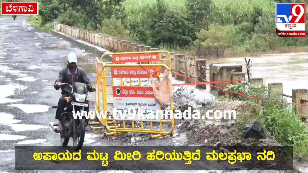 Malaprabha River: ಮಲಪ್ರಭಾ ನದಿಯ ಆರ್ಭಟ; ಕುಸಿದ ಸೇತುವೆ