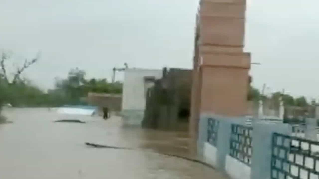 Heavy rains in Rajasthan: ರಾಜಸ್ಥಾನದ 14 ಜಿಲ್ಲೆಗಳಲ್ಲಿ ಭಾರೀ ಮಳೆ, 7ಜನ ಸಾವು Heavy rains in Rajasthan: ರಾಜಸ್ಥಾನದ 14 ಜಿಲ್ಲೆಗಳಲ್ಲಿ ಭಾರೀ ಮಳೆ, 7ಜನ ಸಾವು