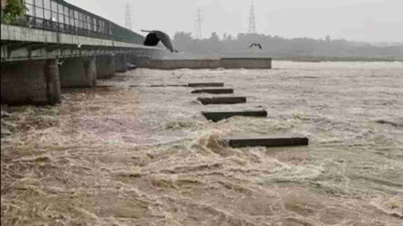 Delhi Rain: ಯಮುನಾ ನದಿಯ ನೀರಿನ ಮಟ್ಟ ಮತ್ತಷ್ಟು ಏರಿಕೆ! ದೆಹಲಿಯ ಹಲವು ಭಾಗ ಜಲಾವೃತ