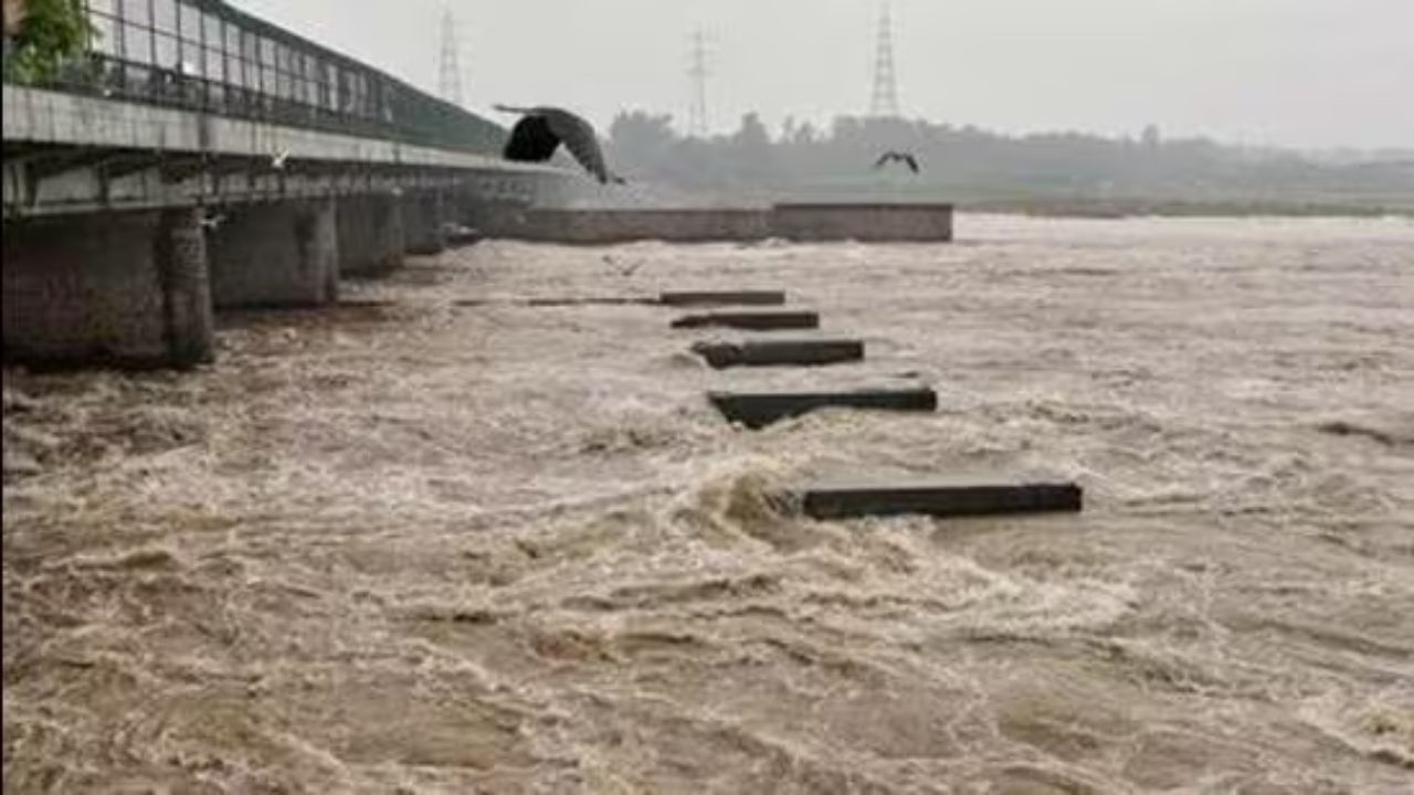 Delhi Rain: ಯಮುನಾ ನದಿಯ ನೀರಿನ ಮಟ್ಟ ಮತ್ತಷ್ಟು ಏರಿಕೆ! ದೆಹಲಿಯ ಹಲವು ಭಾಗ ಜಲಾವೃತ