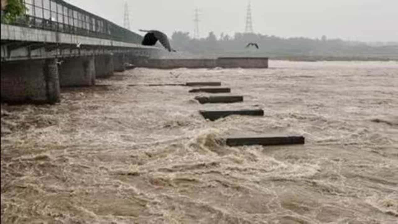Delhi Rain: ಯಮುನಾ ನದಿಯ ನೀರಿನ ಮಟ್ಟ ಮತ್ತಷ್ಟು ಏರಿಕೆ! ದೆಹಲಿಯ ಹಲವು ಭಾಗ ಜಲಾವೃತ Delhi Rain: ಯಮುನಾ ನದಿಯ ನೀರಿನ ಮಟ್ಟ ಮತ್ತಷ್ಟು ಏರಿಕೆ! ದೆಹಲಿಯ ಹಲವು ಭಾಗ ಜಲಾವೃತ