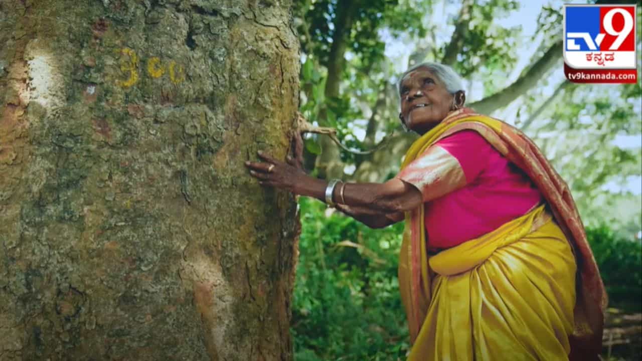 My India My Life Goal: 8 ಸಾವಿರಕ್ಕೂ ಅಧಿಕ ಸಸಿನೆಟ್ಟು ಪೋಷಿಸಿದ ವೃಕ್ಷ ಮಾತೆ ಸಾಲುಮರದ ತಿಮ್ಮಕ್ಕ ನಮಗೆಲ್ಲ ಸ್ಫೂರ್ತಿ My India My Life Goal: 8 ಸಾವಿರಕ್ಕೂ ಅಧಿಕ ಸಸಿನೆಟ್ಟು ಪೋಷಿಸಿದ ವೃಕ್ಷ ಮಾತೆ ಸಾಲುಮರದ ತಿಮ್ಮಕ್ಕ ನಮಗೆಲ್ಲ ಸ್ಫೂರ್ತಿ