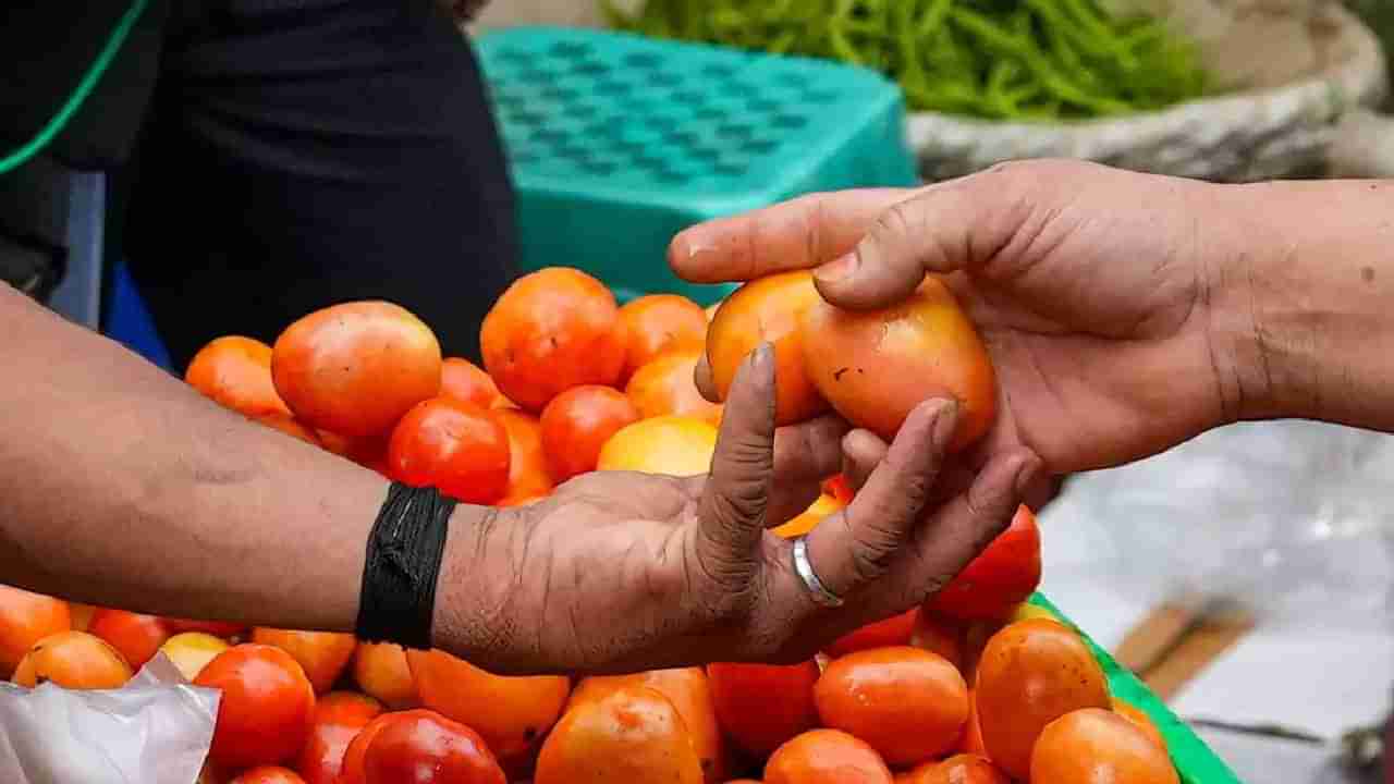 Tomato Grand Challenge: ಹಠಾತ್ ಟೊಮೆಟೋ ಬೆಲೆ ಏರಿಕೆ, ಕುಸಿತ ನಿಭಾಯಿಸಲು ಕೇಂದ್ರದಿಂದ ಹೊಸ ತಂತ್ರ, ಅಭಿಪ್ರಾಯಕ್ಕೆ ಟೊಮ್ಯಾಟೊ ಗ್ರ್ಯಾಂಡ್ ಚಾಲೆಂಜ್ ಆರಂಭ