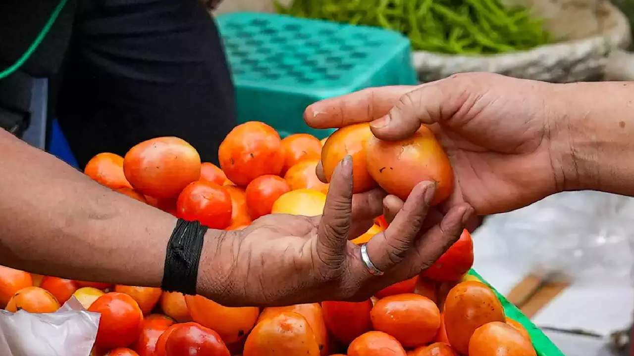 Tomato Grand Challenge: ಹಠಾತ್ ಟೊಮೆಟೋ ಬೆಲೆ ಏರಿಕೆ, ಕುಸಿತ ನಿಭಾಯಿಸಲು ಕೇಂದ್ರದಿಂದ ಹೊಸ ತಂತ್ರ, ಅಭಿಪ್ರಾಯಕ್ಕೆ 'ಟೊಮ್ಯಾಟೊ ಗ್ರ್ಯಾಂಡ್ ಚಾಲೆಂಜ್' ಆರಂಭ Tomato Grand Challenge: ಹಠಾತ್ ಟೊಮೆಟೋ ಬೆಲೆ ಏರಿಕೆ, ಕುಸಿತ ನಿಭಾಯಿಸಲು ಕೇಂದ್ರದಿಂದ ಹೊಸ ತಂತ್ರ, ಅಭಿಪ್ರಾಯಕ್ಕೆ 'ಟೊಮ್ಯಾಟೊ ಗ್ರ್ಯಾಂಡ್ ಚಾಲೆಂಜ್' ಆರಂಭ