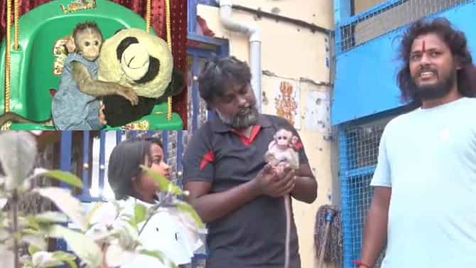 Kolar  Animal Lover: ಅನಾಥ ಕೋತಿ‌ ಮರಿಗೆ ಆಶ್ರಯ ನೀಡಿ, ಮನೆ ಮಗುವಿನಂತೆ ಸಾಕುತ್ತಿರುವ ಕೋಲಾರದ ಪ್ರಾಣಿ ಪ್ರಿಯ!