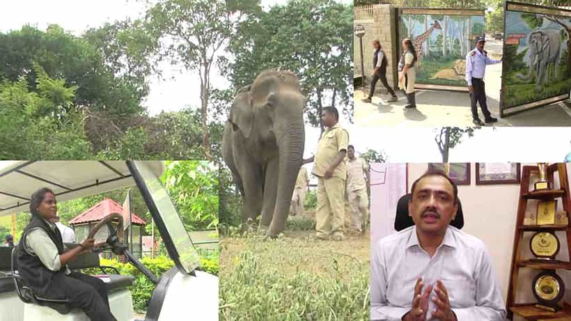 ಬನ್ನೇರುಘಟ್ಟ ಪಾರ್ಕ್: ಬುಡಕಟ್ಟು ಯುವತಿಯರಿಗೆ ಬ್ಯಾಟರಿ ಚಾಲಿತ ವಾಹನಗಳ ಡ್ರೈವಿಂಗ್ ಕೆಲಸ, ಮಾವುತರ ಮನೆ ಮಂದಿಗೆ ಹೊಲಿಗೆ ತರಬೇತಿ