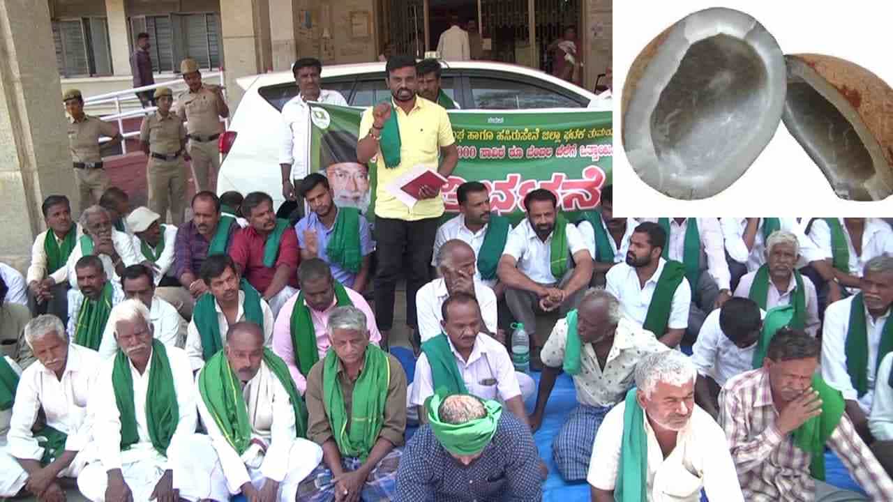 ತಿಪಟೂರು ಕೊಬ್ಬರಿ ಬೆಂಬಲ ಬೆಲೆ ನಿಗದಿ ವಿಷಯದಲ್ಲಿ ಕೇಂದ್ರ ಸರ್ಕಾರದ ತಾರತಮ್ಯ: ಕರ್ನಾಟಕ ಬೆಳೆಗಾರರು ಕಂಗಾಲು ತಿಪಟೂರು ಕೊಬ್ಬರಿ ಬೆಂಬಲ ಬೆಲೆ ನಿಗದಿ ವಿಷಯದಲ್ಲಿ ಕೇಂದ್ರ ಸರ್ಕಾರದ ತಾರತಮ್ಯ: ಕರ್ನಾಟಕ ಬೆಳೆಗಾರರು ಕಂಗಾಲು