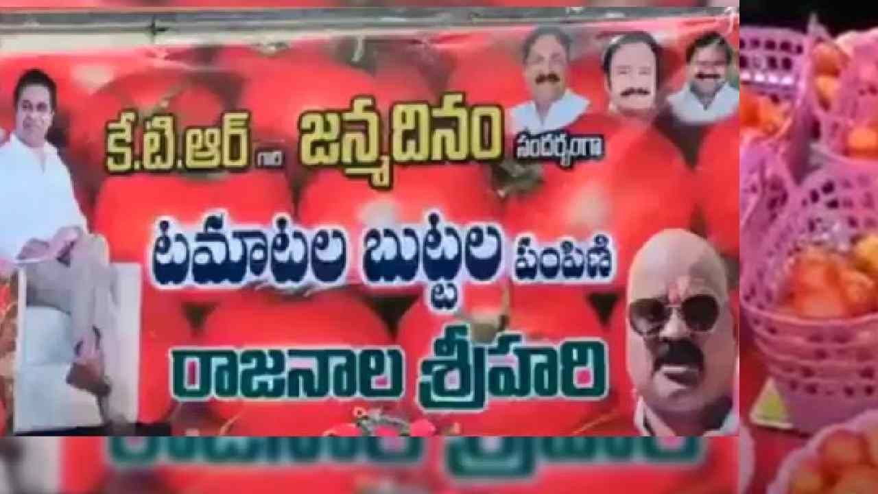 ದುಬಾರಿ ಕೊಡುಗೆ -ವಿಡಿಯೋ ನೋಡಿ: ಸಚಿವ ಕೆಟಿಆರ್ ಹುಟ್ಟುಹಬ್ಬಕ್ಕೆ ಟೊಮೇಟೊ ವಿತರಿಸಿದ ಬಿಆರ್​ಎಸ್ ನಾಯಕ