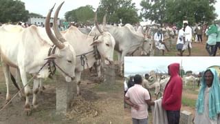 ಫಕೀರೇಶ್ವರಮಠದ ಫಕೀರ್​ ದಿಂಗಾಲೇಶ್ವರ ಶ್ರೀಗಳಿಗೆ ಜೀವಭಯ! ಭಕ್ತರಿಂದ ದೂರು