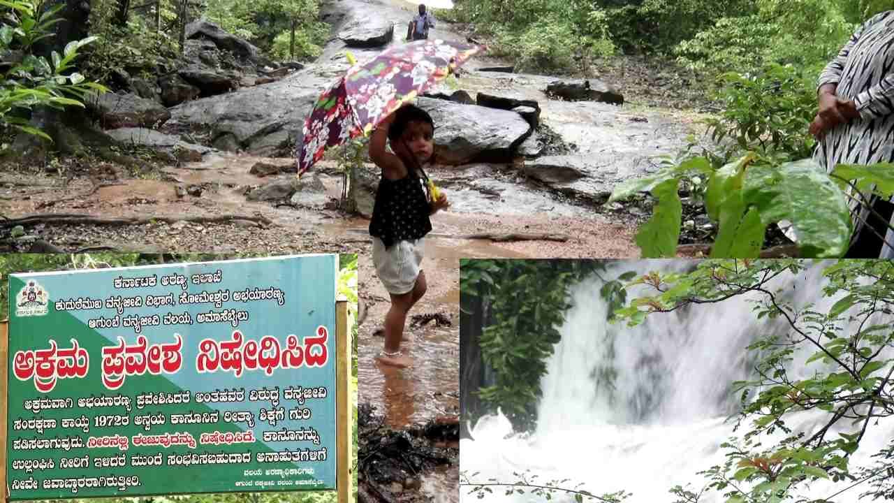 Kantara Irkigedde Falls: ‘ಕಾಂತರಾ’ ಚಿತ್ರದಲ್ಲಿರುವ ಜಲಪಾತಕ್ಕೆ ಜೀವಕಳೆ, ಧುಮ್ಮಿಕ್ಕಿ ಹರಿಯುತ್ತಿರುವ ಇರ್ಕಿಗದ್ದೆ ಫಾಲ್ಸ್!