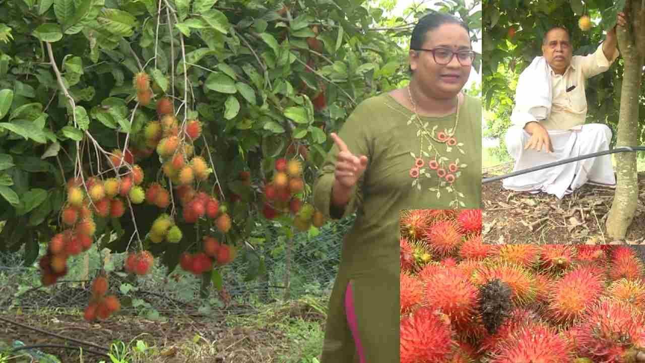 ಪರಿಸರ ಉಳಿಸಿ, ಪ್ರಕೃತಿಗೇ ಕೊಡುಗೆ ನೀಡುವ ನಿಟ್ಟಿನಲ್ಲಿ ಈ ಪರಿಸರ ಉದ್ಯಮಿ ಸಾಧನೆ ಮಾದರಿಯಾಗಿದೆ! ಏನದು?