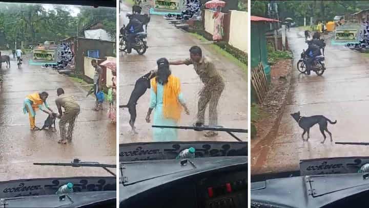 ಪ್ಲಾಸ್ಟಿಕ್ ಡಬ್ಬದಲ್ಲಿ ತಲೆತೂರಿಸಿಕೊಂಡ ಬೀದಿ ನಾಯಿ -ಅಂಕೋಲಾ KSRTC ಬಸ್ ಡ್ರೈವರ್ ಏನು ಮಾಡಿದರು ನೋಡಿ! ಪ್ಲಾಸ್ಟಿಕ್ ಡಬ್ಬದಲ್ಲಿ ತಲೆತೂರಿಸಿಕೊಂಡ ಬೀದಿ ನಾಯಿ -ಅಂಕೋಲಾ KSRTC ಬಸ್ ಡ್ರೈವರ್ ಏನು ಮಾಡಿದರು ನೋಡಿ!