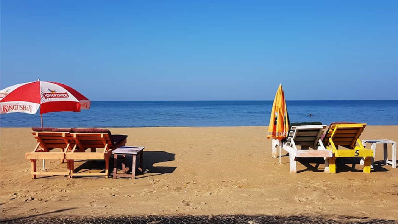 Holiday Destination: ಮಳೆಗಾಲದಲ್ಲಿ ಗೋವಾದ ಈ 7 ಸುಂದರ ಕಡಲತೀರಗಳಿಗೆ ಭೇಟಿ ನೀಡಿ Holiday Destination: ಮಳೆಗಾಲದಲ್ಲಿ ಗೋವಾದ ಈ 7 ಸುಂದರ ಕಡಲತೀರಗಳಿಗೆ ಭೇಟಿ ನೀಡಿ