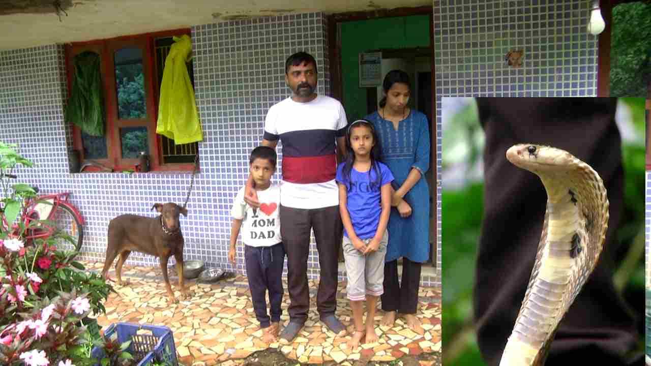 ಆತ ಇನ್ನೂ ಕೇವಲ ಆರು ವರ್ಷದ ಬಾಲಕ. ಆತ ಮಾಡುವ ಕೆಲಸ ನೋಡಿದ್ರೆ ನೀವು ನಿಜಕ್ಕೂ ಬೆಚ್ಚಿ ಬೀಳುತ್ತೀರಿ.. ಕೈಯಲ್ಲಿ ವಿಷ ಸರ್ಪಗಳನ್ನ ಹಿಡಿದು ಬುಗುರಿ ಆಡಿಸಿದಂಗೆ ಆಡಿಸುತ್ತಾನೆ.. ಇತನಿಗೆ ಹಾವುಗಳೆಂದರೆ ಭಯವೇ ಇಲ್ಲ.. ಎಲ್ಲಿಯೇ ಹಾವು ಕಂಡರು ತನ್ನ ತಂದೆಯ ಜೊತೆಗೆ ಇವನು ಸ್ಥಳಕ್ಕೆ ಎಂಟ್ರಿ ಕೊಡುತ್ತಾನೆ.. ಈ ಕುರಿತು ಒಂದು ವರದಿ ಇಲ್ಲಿದೆ ನೋಡಿ...