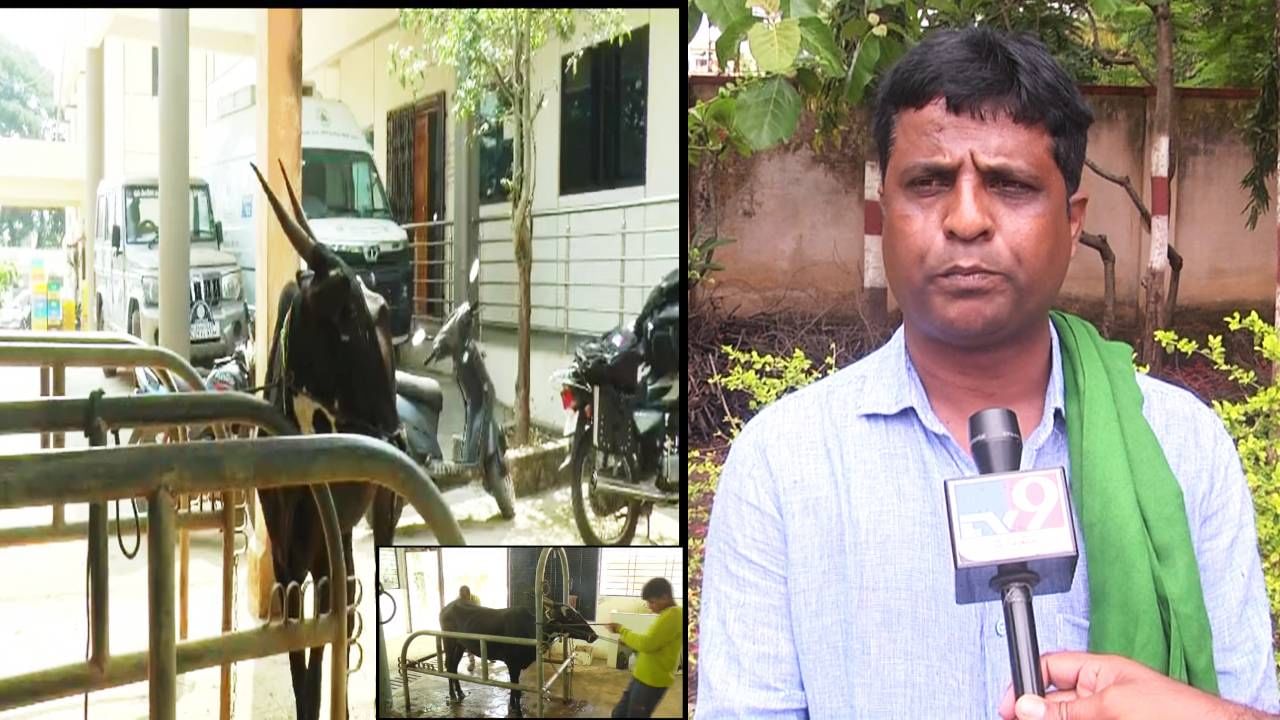 ಯೋಜನೆ ಆರಂಭವಾಗಿ ಒಂದು ವರ್ಷವೂ ಕಳೆದಿಲ್ಲ, ಆಗಲೇ ಗ್ಯಾರೇಜ್ ಸೇರಿದ ಲಕ್ಷಾಂತರ ರೂಪಾಯಿ ವೆಚ್ಚದ ಆಂಬ್ಯುಲೆನ್ಸ್ ಯೋಜನೆ ಆರಂಭವಾಗಿ ಒಂದು ವರ್ಷವೂ ಕಳೆದಿಲ್ಲ, ಆಗಲೇ ಗ್ಯಾರೇಜ್ ಸೇರಿದ ಲಕ್ಷಾಂತರ ರೂಪಾಯಿ ವೆಚ್ಚದ ಆಂಬ್ಯುಲೆನ್ಸ್
