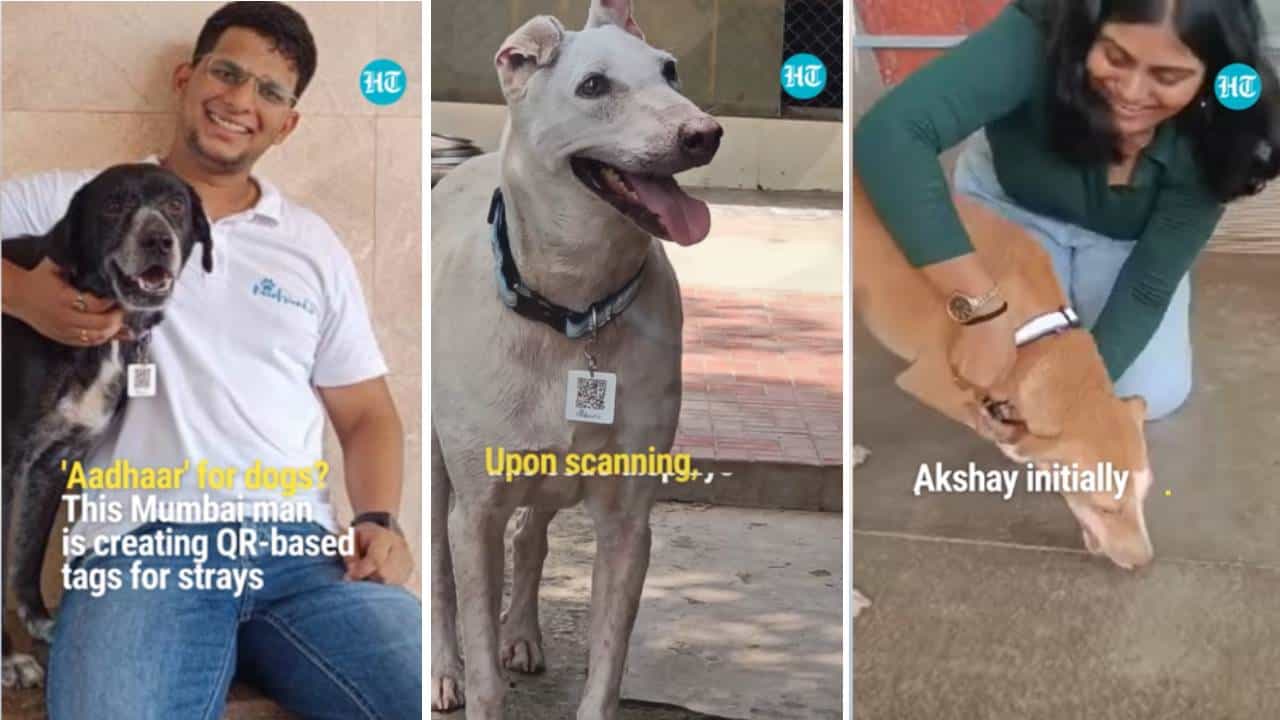Viral: ಬೀದಿನಾಯಿಗಳಿಗೆ 'ಆಧಾರ್'; ಮುಂಬೈನ ಶ್ವಾನಪ್ರಿಯ ಯುವಕನ ಸಂಶೋಧನೆ Viral: ಬೀದಿನಾಯಿಗಳಿಗೆ 'ಆಧಾರ್'; ಮುಂಬೈನ ಶ್ವಾನಪ್ರಿಯ ಯುವಕನ ಸಂಶೋಧನೆ
