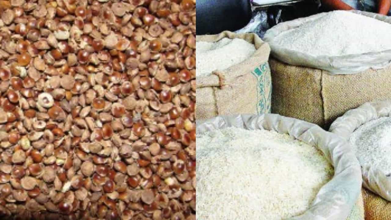 ಗಾಯದ ಮೇಲೆ ಬರೆ: ತರಕಾರಿ ಬೆನ್ನಲ್ಲೇ ದಿನಸಿ ಸಾಮಗ್ರಿಗಳ ಬೆಲೆಯಲ್ಲೂ ಏರಿಕೆ; ಇಲ್ಲಿದೆ ಮಾರುಕಟ್ಟೆ ದರ ಗಾಯದ ಮೇಲೆ ಬರೆ: ತರಕಾರಿ ಬೆನ್ನಲ್ಲೇ ದಿನಸಿ ಸಾಮಗ್ರಿಗಳ ಬೆಲೆಯಲ್ಲೂ ಏರಿಕೆ; ಇಲ್ಲಿದೆ ಮಾರುಕಟ್ಟೆ ದರ