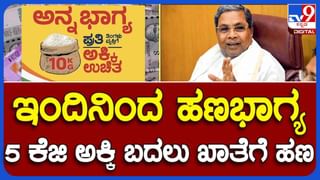 ಕರ್ನಾಟಕ ಬಜೆಟ್​ನಿಂದ ಅಕ್ಬರ್, ಅಂತೋನಿ ಫುಲ್ ಖುಷ್: ಸಿಸಿ ಪಾಟೀಲ್ ವ್ಯಂಗ್ಯ