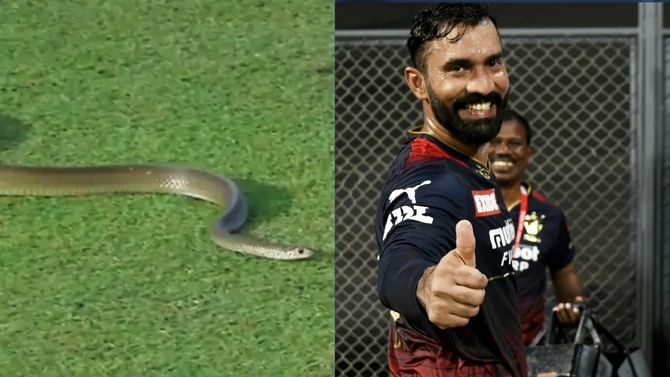 VIDEO: ಪಂದ್ಯದ ವೇಳೆ ಮೈದಾನದಲ್ಲಿ ಕಾಣಿಸಿಕೊಂಡ ಹಾವು: ಬಾಂಗ್ಲಾ ತಂಡದ ಕಾಲೆಳೆದ ಡಿಕೆ VIDEO: ಪಂದ್ಯದ ವೇಳೆ ಮೈದಾನದಲ್ಲಿ ಕಾಣಿಸಿಕೊಂಡ ಹಾವು: ಬಾಂಗ್ಲಾ ತಂಡದ ಕಾಲೆಳೆದ ಡಿಕೆ