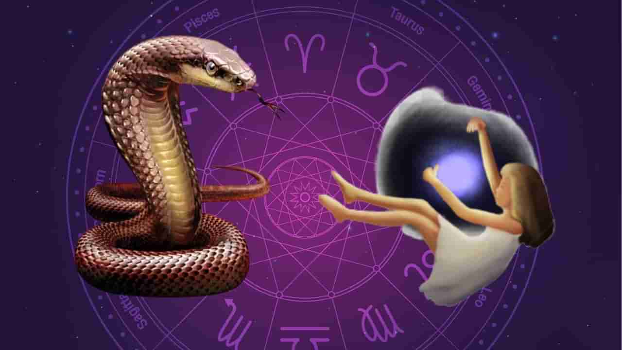 Dream Astrology: ಕನಸಿನಲ್ಲಿ ಹಾವನ್ನು ನೋಡುವುದು ಮಂಗಳಕರವೇ ಅಥವಾ ಅಶುಭವೇ? ಈ ಕನಸು ಭವಿಷ್ಯ ನಿರ್ಧಾರ ಮಾಡುತ್ತದೆಯೇ?