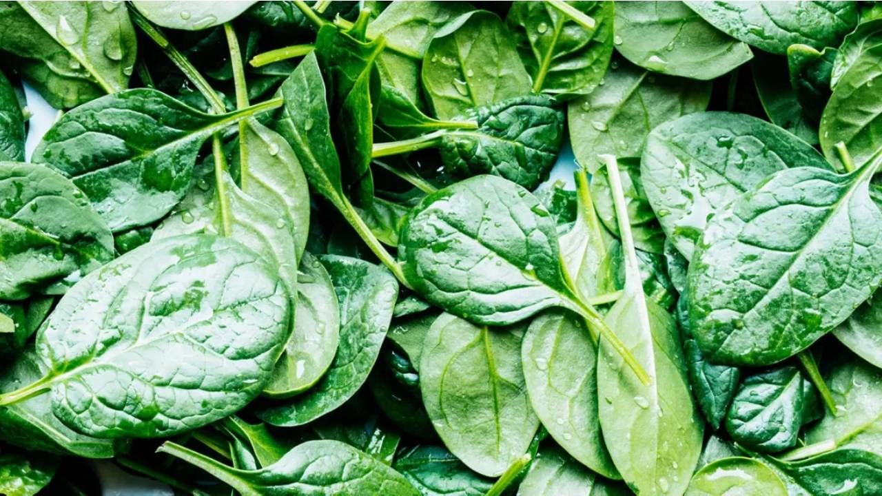 Spinach: 100 ಗ್ರಾಂ ಪಾಲಕ್‌ನಲ್ಲಿ ಏನೆಲ್ಲಾ ಇರುತ್ತದೆ ಎಂದು ತಿಳಿಯಿರಿ