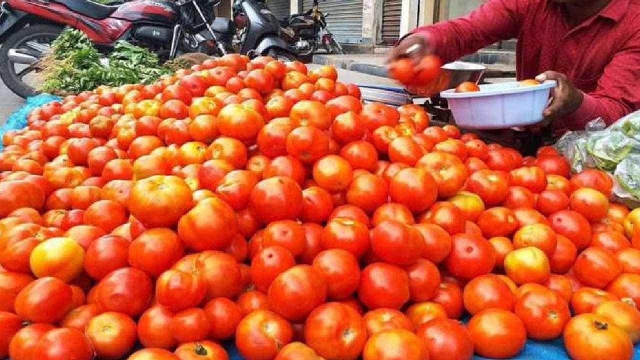 Tomato Price : ಈ ರಾಜ್ಯದಲ್ಲಿ 250ರೂ.ಗೆ ತಲುಪಿದ ಒಂದು ಕೆಜಿ ಟೊಮೆಟೊ ಬೆಲೆ Tomato Price : ಈ ರಾಜ್ಯದಲ್ಲಿ 250ರೂ.ಗೆ ತಲುಪಿದ ಒಂದು ಕೆಜಿ ಟೊಮೆಟೊ ಬೆಲೆ