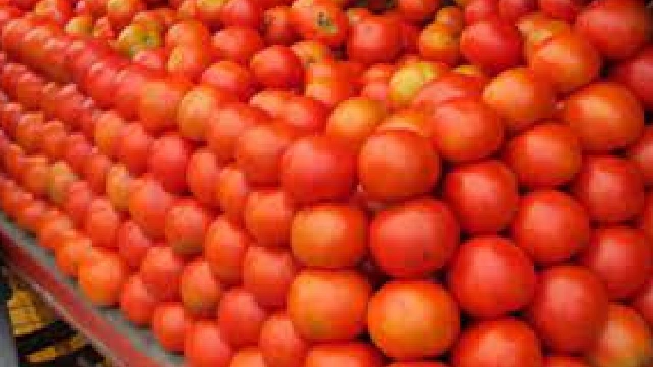 Tomato: ಟೊಮೆಟೊ ತುಂಬಿಕೊಂಡು ಕೋಲಾರದಿಂದ ಹೊರಟಿದ್ದ ಲಾರಿ ನಾಪತ್ತೆ, ದೂರು ದಾಖಲು Tomato: ಟೊಮೆಟೊ ತುಂಬಿಕೊಂಡು ಕೋಲಾರದಿಂದ ಹೊರಟಿದ್ದ ಲಾರಿ ನಾಪತ್ತೆ, ದೂರು ದಾಖಲು