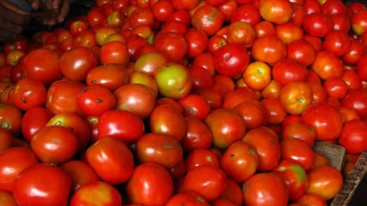 Tomato: ಕರ್ನಾಟಕದಲ್ಲಿ ಟೊಮ್ಯಾಟೊ ಬೆಲೆ ಏರಿಕೆ ಕಾರಣವೇನು ? ಇಲ್ಲಿದೆ ಮಾಹಿತಿ