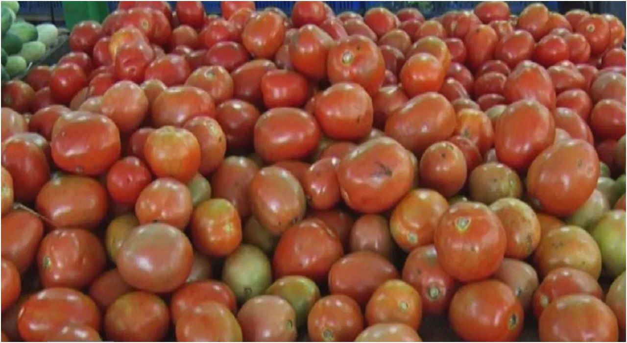 Tomato: ತಾಯಿಯ ಆಸೆ ಪೂರೈಸಲು ದುಬೈಯಿಂದ 10 ಕೆಜಿ ಟೊಮೆಟೊ ತಂದ ಮಗಳು! ಟ್ವೀಟ್ ವೈರಲ್