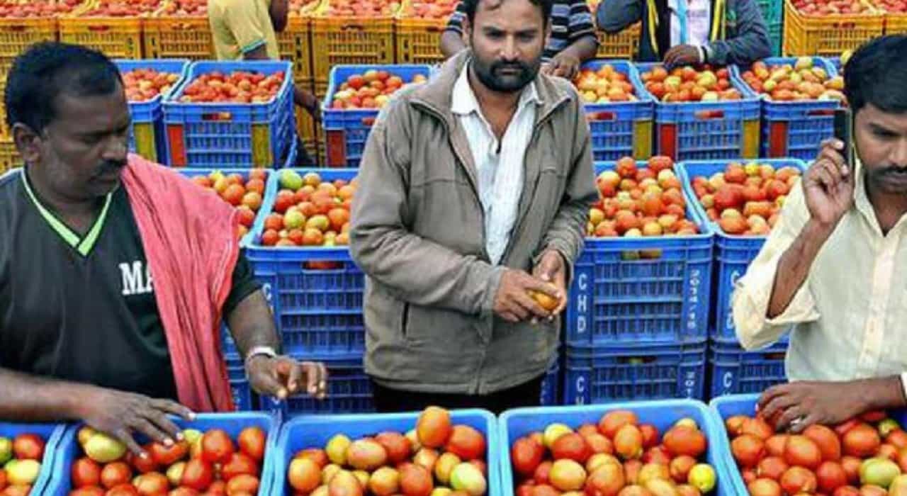 Tomato Price Hike: ಟೊಮೆಟೊ ಬೆಲೆ ಏರಿಕೆ; ಲಕ್ಷ, ಕೋಟಿ ರೂಪಾಯಿಗಳಲ್ಲಿ ಆದಾಯ ಗಳಿಸುತ್ತಿದ್ದಾರೆ ಕರ್ನಾಟಕದ ರೈತರು Tomato Price Hike: ಟೊಮೆಟೊ ಬೆಲೆ ಏರಿಕೆ; ಲಕ್ಷ, ಕೋಟಿ ರೂಪಾಯಿಗಳಲ್ಲಿ ಆದಾಯ ಗಳಿಸುತ್ತಿದ್ದಾರೆ ಕರ್ನಾಟಕದ ರೈತರು