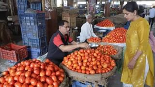 Tomato Experiment: ಲಾಟರಿ ಬೆಳೆ ಟೊಮ್ಯಾಟೊ ಕಸಿಗೆ ಇಳಿದ ಕೋಲಾರದ ಶ್ರಮಜೀವಿ ರೈತ: ಬದನೆ ಕಾಯಿಗೆ ಟೊಮ್ಯಾಟೊ ಕಸಿ! ಏನಿದು ಪ್ರಯೋಗ?