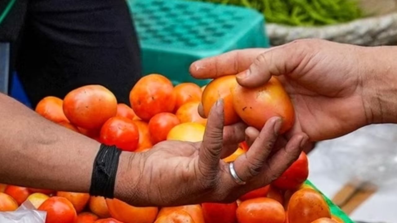 Discount On Tomatoes: ಇಂದಿನಿಂದ ರಿಯಾಯಿತಿ ದರದಲ್ಲಿ ಟೊಮೆಟೊ ಮಾರಾಟ ಪ್ರಾರಂಭ, ಕರ್ನಾಟಕದ ಮಾರುಕಟ್ಟೆಗೆ ಡಿಮ್ಯಾಂಡ್