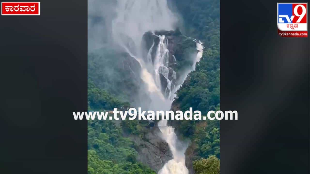 DudhSagar: ದೂಧ್ ಸಾಗರ್ ಜಲಪಾತದ ವೈಭೋಗಕ್ಕೆ ಪ್ರವಾಸಿಗರು ಫಿದಾ; ಇಲ್ಲಿದೆ ಅದರ ಝಲಕ್ DudhSagar: ದೂಧ್ ಸಾಗರ್ ಜಲಪಾತದ ವೈಭೋಗಕ್ಕೆ ಪ್ರವಾಸಿಗರು ಫಿದಾ; ಇಲ್ಲಿದೆ ಅದರ ಝಲಕ್