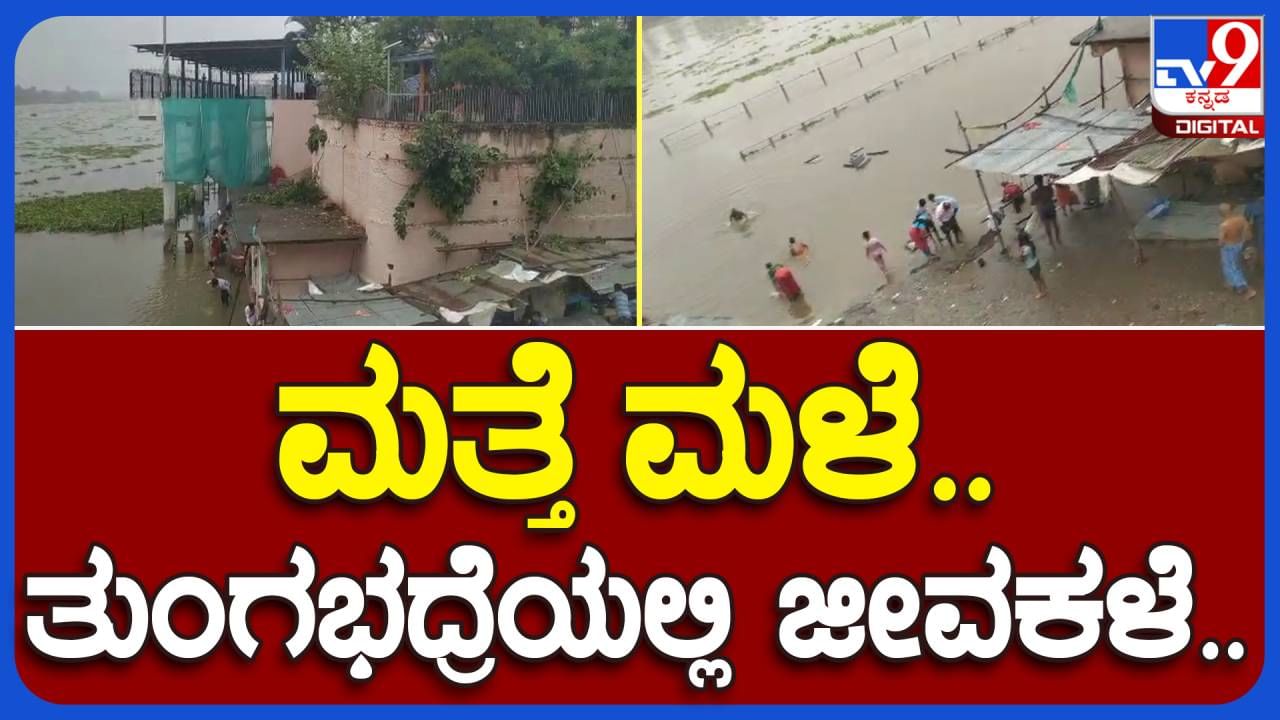 Davanagere: ಮಲೆನಾಡ ಭಾಗದಲ್ಲಿ ಧಾರಾಕಾರ ಮಳೆ, ತುಂಗಭದ್ರೆಯಲ್ಲಿ ಹರಿಯಲಾರಂಭಿಸಿತು ನೀರು, ರೈತರು ಖುಷ್!