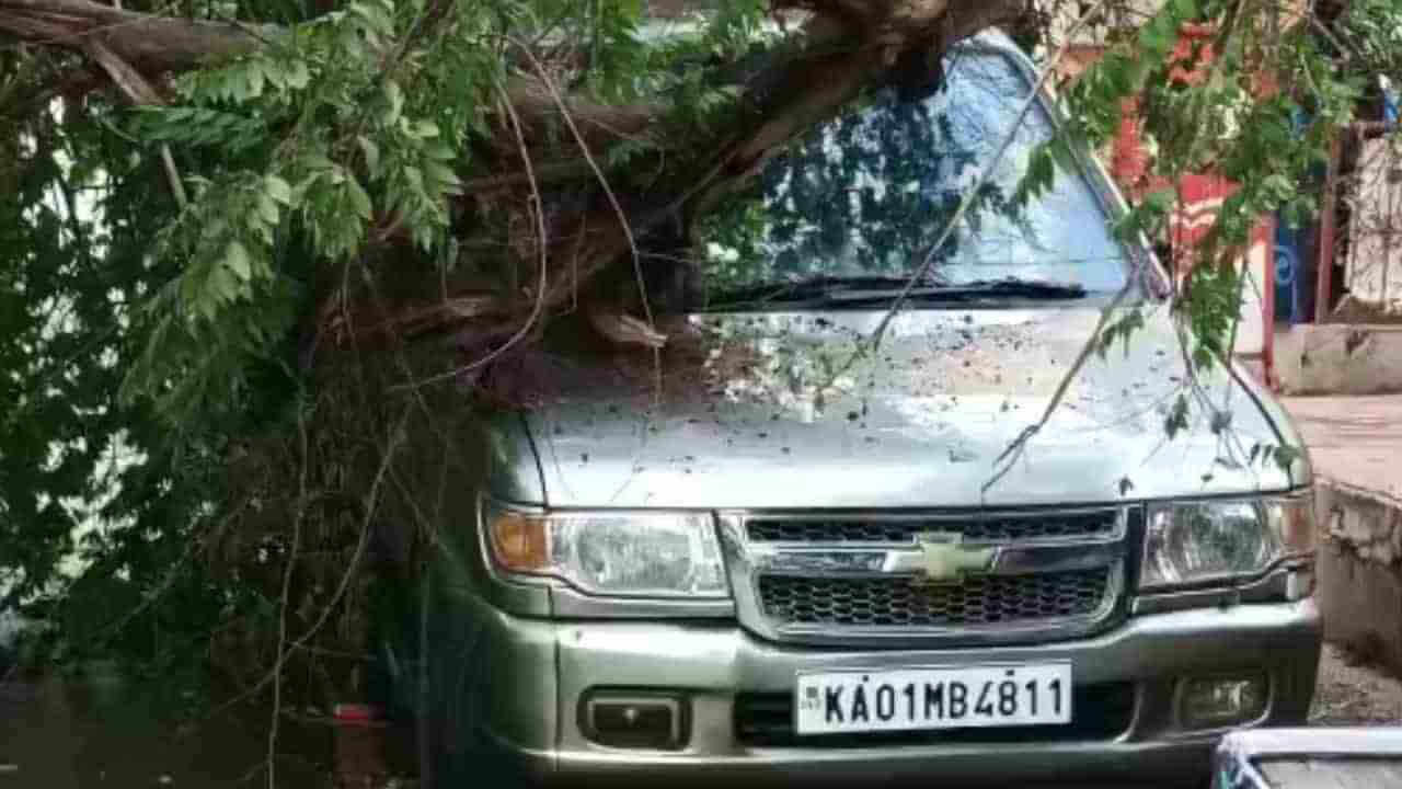 Karnataka Breaking News Highlights: ಭಾರೀ ಮಳೆಗೆ ಮುರಿದುಬಿದ್ದ ಮರದ ಕೊಂಬೆ: ಕಾರು ಜಖಂ