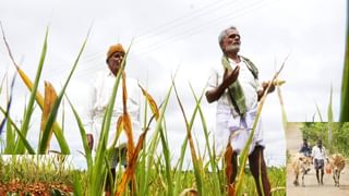 ಮನೆ ಯಜಮಾನಿಗೆ 2000 ರೂ. ನೀಡುವ ಗೃಹ ಲಕ್ಷ್ಮೀ ಯೋಜನೆಗೆ ಮುಹೂರ್ತ ಫಿಕ್ಸ್, ಯಾವೆಲ್ಲ ದಾಖಲೆಗಳು ಬೇಕು?