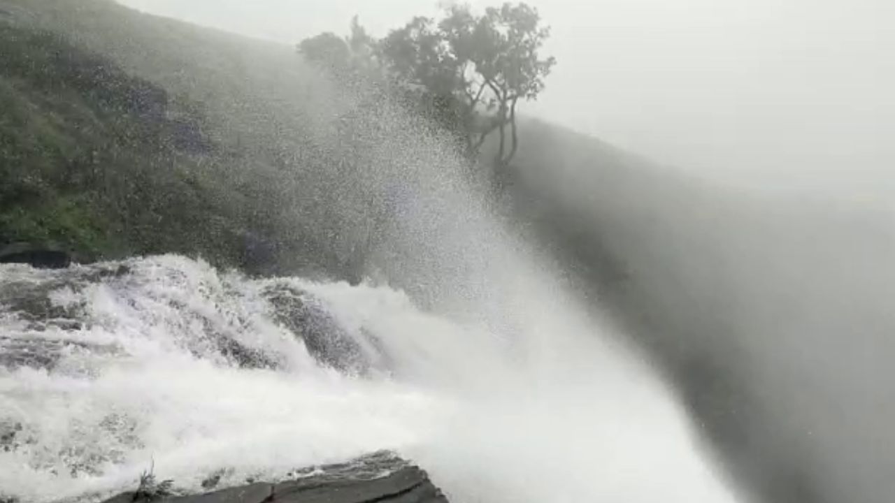 ಮುಂಗಾರು ಮಳೆ ಅಬ್ಬರಕ್ಕೆ ಮಲೆನಾಡಲ್ಲಿ ಸ್ವರ್ಗ ಸೃಷ್ಟಿ; ಮೈ ಮನ ಸೆಳೆಯುತ್ತಿದೆ ಬಂಡಾಜೆ ಫಾಲ್ಸ್