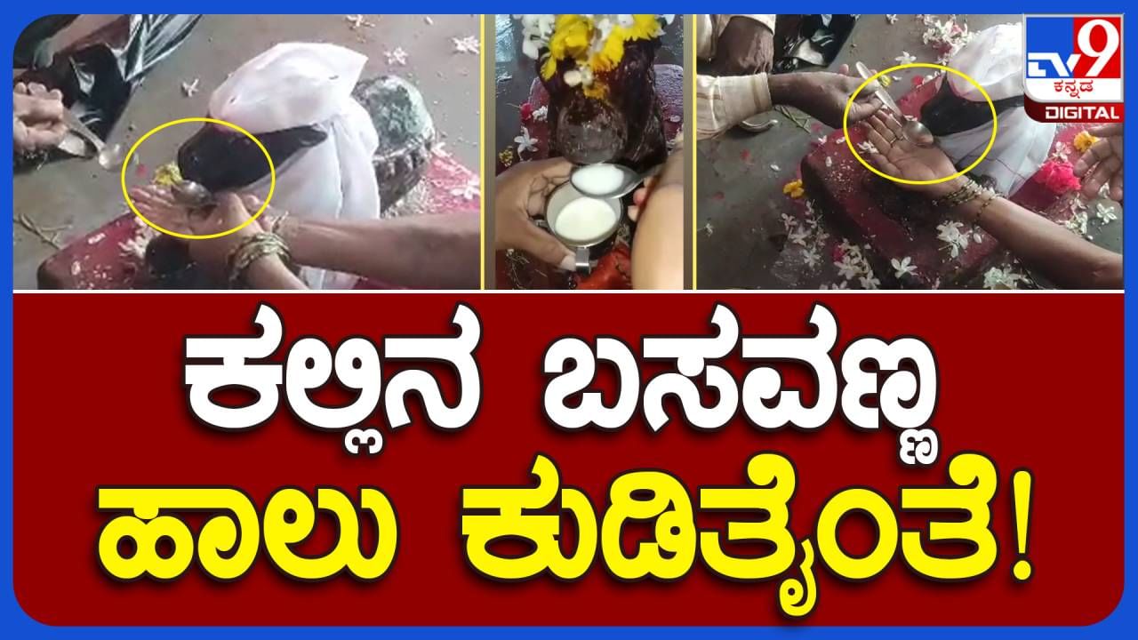 Bidar News: ಜಿಲ್ಲೆಯ ಹಲವಾರು ಗ್ರಾಮಗಳಲ್ಲಿ ಬಸವನ ವಿಗ್ರಹ ಹಾಲು-ನೀರು ಕುಡಿಯುವ ವಿಡಿಯೋಗಳು ವೈರಲ್!