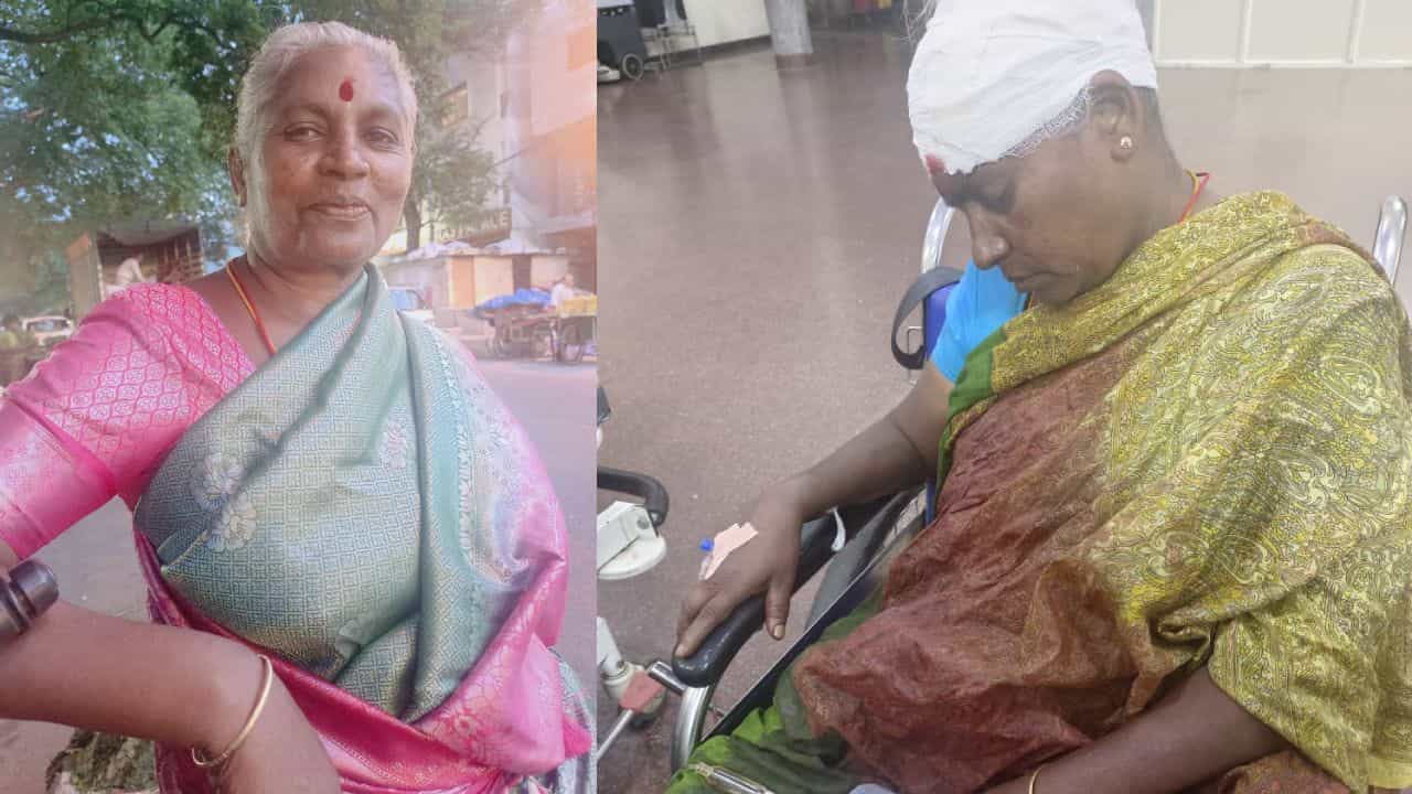 ರಸ್ತೆ ಬದಿ ಸೊಪ್ಪು ಮಾರುತ್ತಿದ್ದ ವೃದ್ಧೆ ಮೇಲೆ ಮಚ್ಚಿನಿಂದ ಹಲ್ಲೆ; ಆರೋಪಿಗಳಿಗಾಗಿ ಪೊಲೀಸರು ಹುಡುಕಾಟ ರಸ್ತೆ ಬದಿ ಸೊಪ್ಪು ಮಾರುತ್ತಿದ್ದ ವೃದ್ಧೆ ಮೇಲೆ ಮಚ್ಚಿನಿಂದ ಹಲ್ಲೆ; ಆರೋಪಿಗಳಿಗಾಗಿ ಪೊಲೀಸರು ಹುಡುಕಾಟ