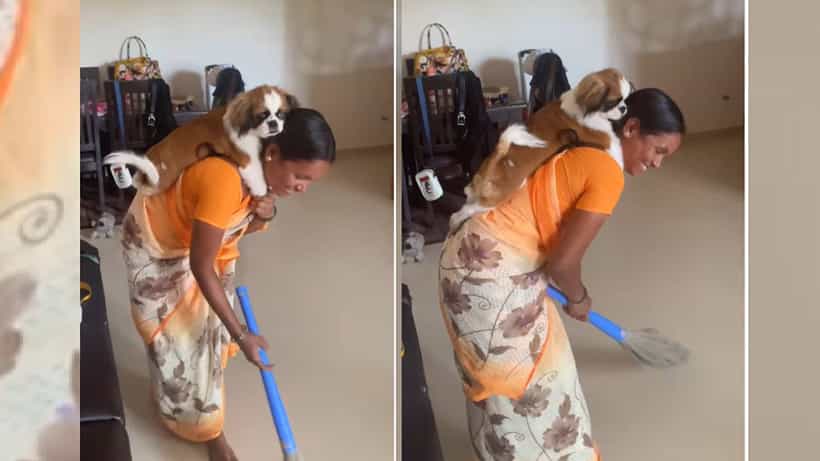 Viral Video: ಶ್ರೀಮಂತರು ಷೋಕಿಗಾಗಿ ನಾಯಿ ಸಾಕುತ್ತಾರೆ, ಅವರು ಪ್ರೀತಿಸುವುದಿಲ್ಲ; ನೆಟ್ಟಿಗರ ಚರ್ಚೆ
