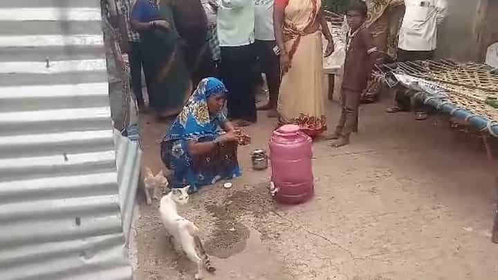 Gadag News: ಅಡುಗೆ ಮನೆಯಲ್ಲಿ ಬಚ್ಚಿಟ್ಟುಕೊಂಡಿದ್ದ ಹಾವಿಂದ ಕುಟುಂಬಸ್ಥರನ್ನು ರಕ್ಷಿಸಿದ ಬೆಕ್ಕುಗಳು Gadag News: ಅಡುಗೆ ಮನೆಯಲ್ಲಿ ಬಚ್ಚಿಟ್ಟುಕೊಂಡಿದ್ದ ಹಾವಿಂದ ಕುಟುಂಬಸ್ಥರನ್ನು ರಕ್ಷಿಸಿದ ಬೆಕ್ಕುಗಳು