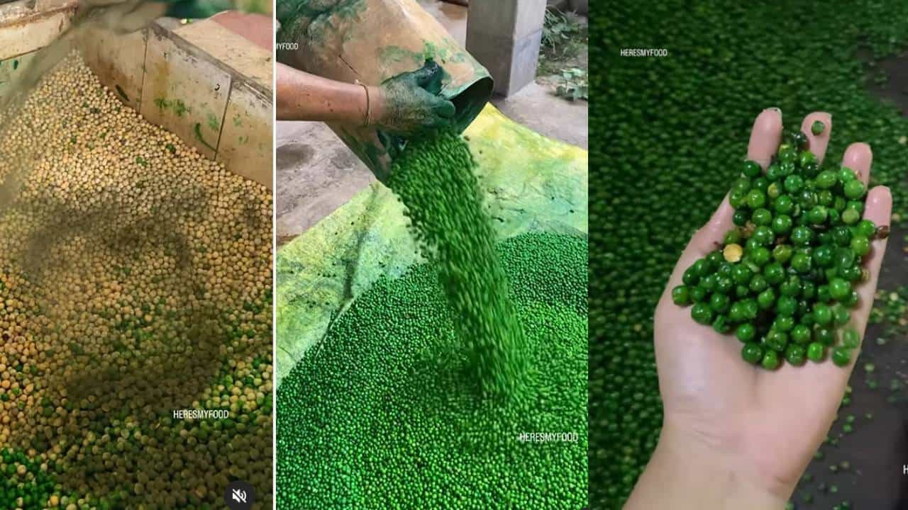 Viral Video: ಈ ವಿಡಿಯೋ ನೋಡಿದ ಮೇಲೆಯೂ ಈ ಬಟಾಣಿ ತಿನ್ನುವಿರೆ? Viral Video: ಈ ವಿಡಿಯೋ ನೋಡಿದ ಮೇಲೆಯೂ ಈ ಬಟಾಣಿ ತಿನ್ನುವಿರೆ?