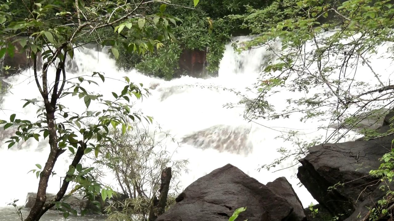 ಉಡುಪಿ ಜಿಲ್ಲೆ ಸಿದ್ಧಾಪುರ ಸಮೀಪದ ಹೊಸಂಗಡಿ ಇರ್ಕಿಗದ್ದೆ ಜಲಪಾತ ಹಸಿರು ಕಾನನದ ನಡುವೆ ಧುಮ್ಮಿಕ್ಕಿ ಹರಿಯುತ್ತಿದೆ. 