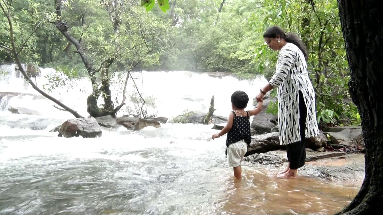 ಹಚ್ಚ ಹಸಿರಿನ ಮಧ್ಯೆ ಹನಿ ಹನಿ ಮಳೆಯ ಜೊತೆಗೆ ಹಾಲ್ನೊರೆಯ ಜಲಪಾತ ಕಂಡು ಪ್ರವಾಸಿಗರು ಎಂಜಾಯ್ ಮಾಡುತ್ತಿದ್ದಾರೆ. 